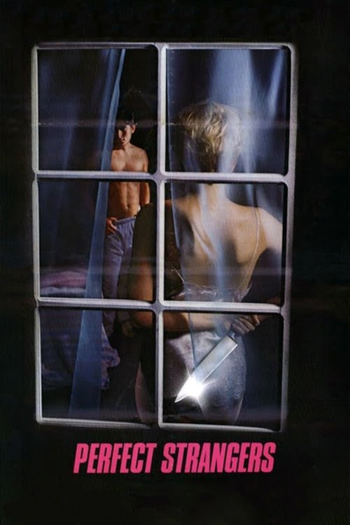 Póster de Perfect Strangers