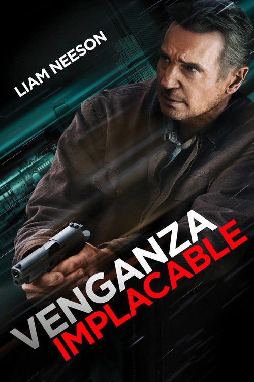 Póster de Venganza Implacable