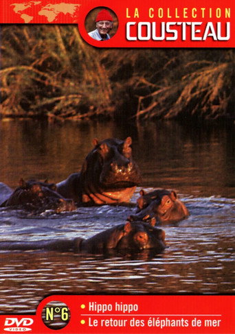 Póster de La collection Cousteau N°6 | Hippo, Hippo | Le retour des éléphants de mer
