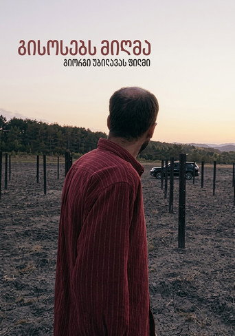 Póster de გისოსებს მიღმა