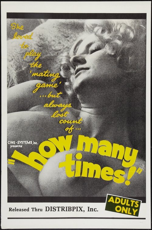 Póster de How Many Times