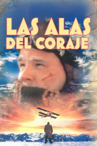 Póster de Wings of Courage
