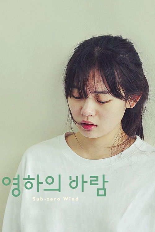 Póster de 영하의 바람