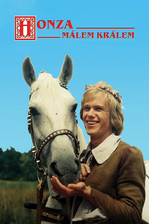 Póster de Honza málem králem