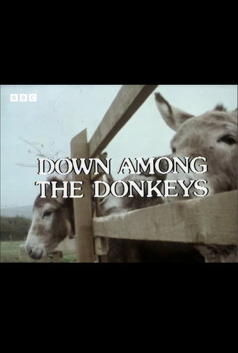 Póster de Down Among the Donkeys