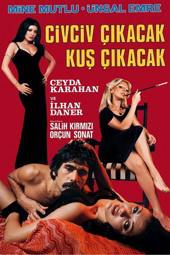 Póster de Civciv Çıkacak Kuş Çıkacak
