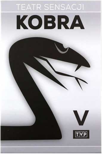 Póster de Za Kurtyną