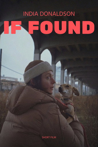 Póster de If Found