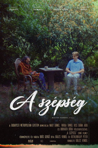Póster de A szépség