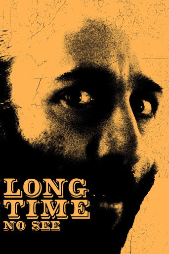 Póster de Long Time No See