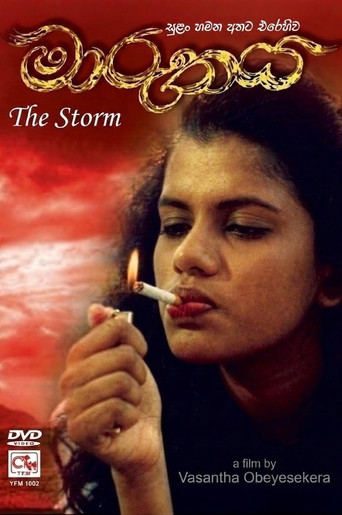 Póster de The Storm