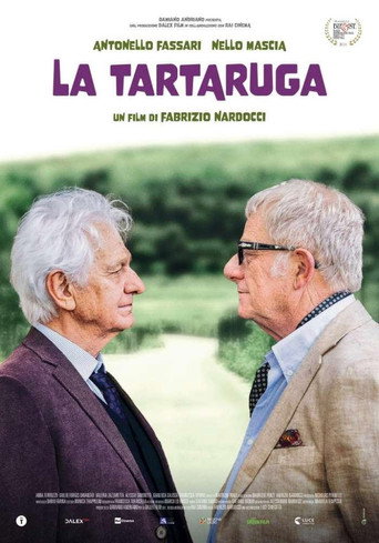 Póster de La tartaruga