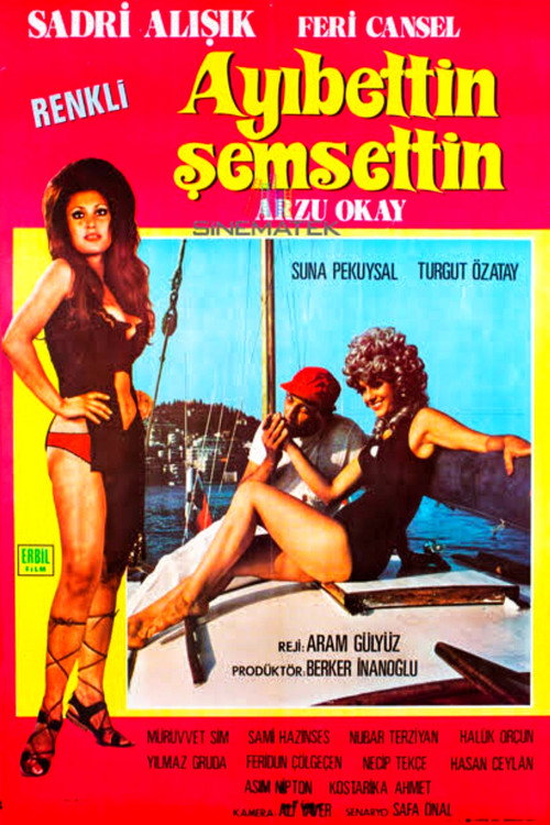 Póster de Ayıbettin Şemsettin