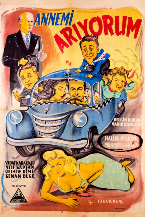 Póster de Annemi Arıyorum