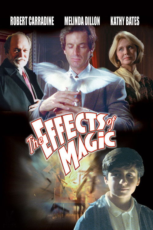 Póster de The Effects of Magic