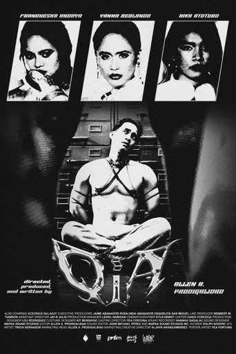 Póster de Q.I.A.