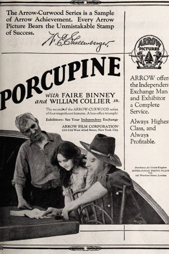 Póster de The Girl from Porcupine