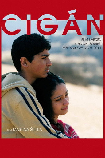 Póster de Cigán