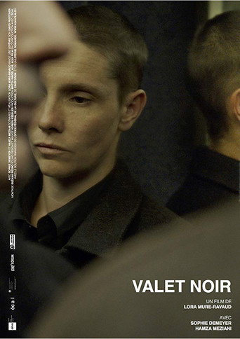 Póster de Valet noir