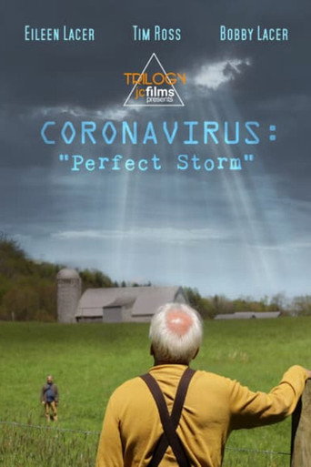 Póster de Coronavirus: Perfect Storm
