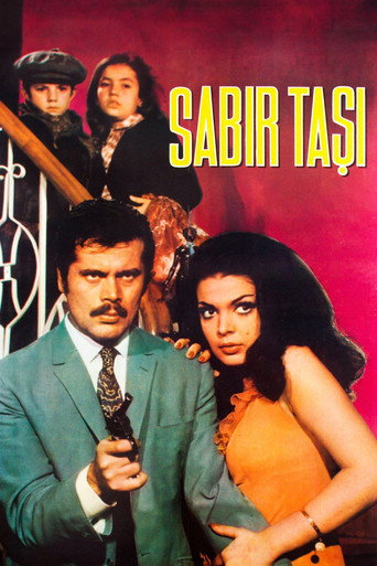Póster de Sabır Taşı