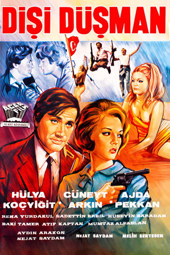 Póster de Dişi Düşman