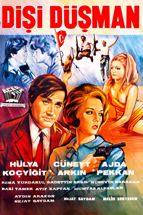 Póster de Dişi Düşman