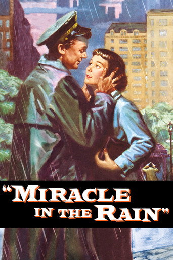 Póster de Miracle in the Rain
