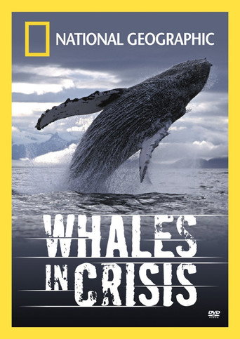 Póster de Whales in Crisis