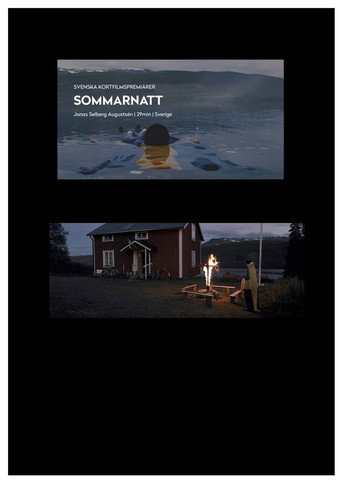 Póster de Sommarnatt