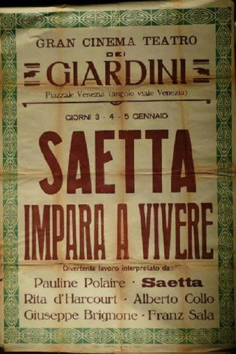 Póster de Saetta impara a vivere