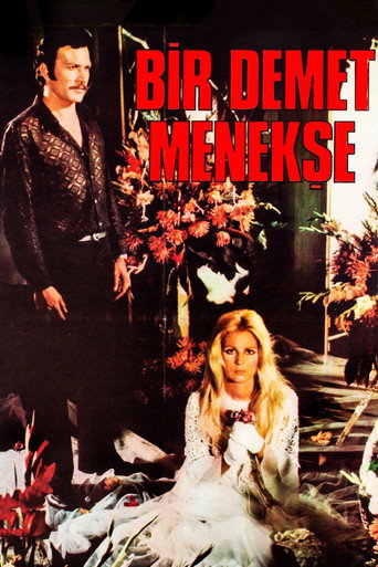 Póster de Bir Demet Menekşe