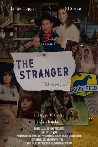 Póster de The Stranger