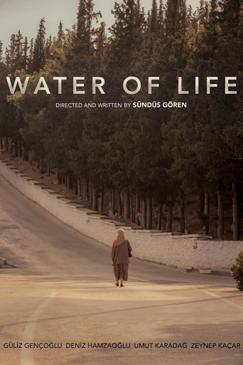 Póster de Can Suyu