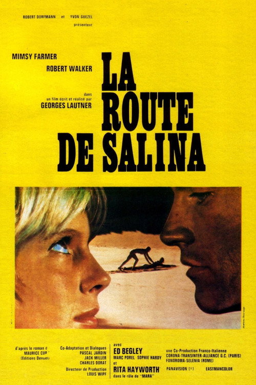 Póster de La Route de Salina