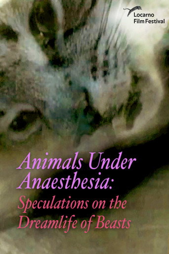 Póster de Animals Under Anaesthesia: Speculations on the Dreamlife of Beasts