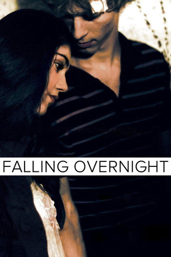 Póster de Falling Overnight