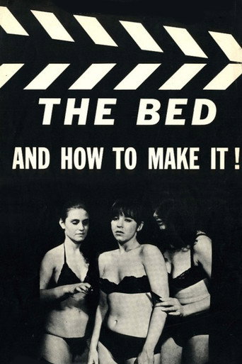 Póster de The Bed and How to Make It!