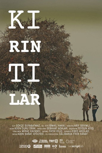 Póster de Kırıntılar