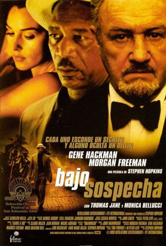 Póster de Under Suspicion