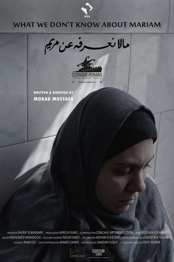 Póster de ما لا نعرفه عن مريم