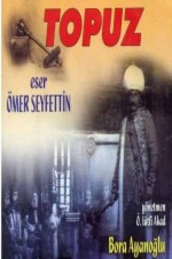 Póster de Topuz