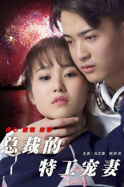 Póster de 总裁的特工宠妻