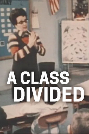 Póster de A Class Divided