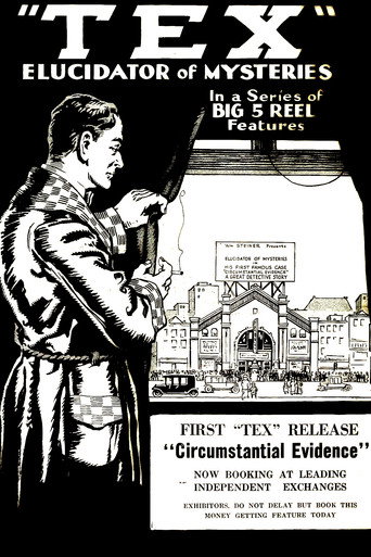 Póster de Detective Tex: Circumstantial Evidence