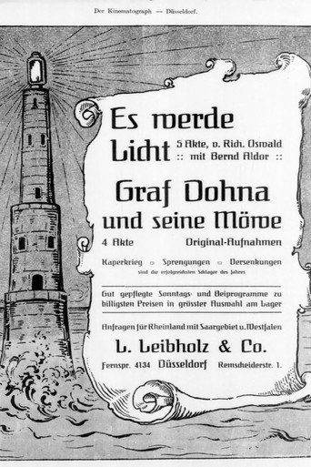 Póster de Es werde Licht!