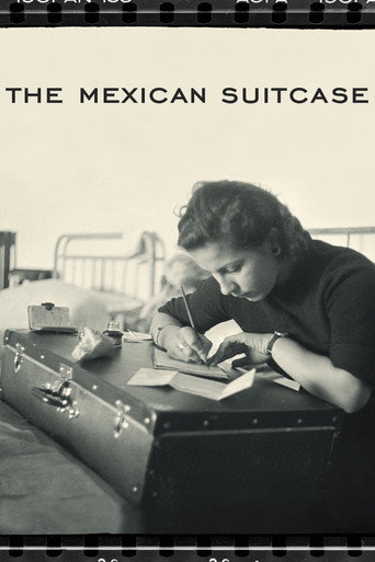 Póster de La maleta mexicana