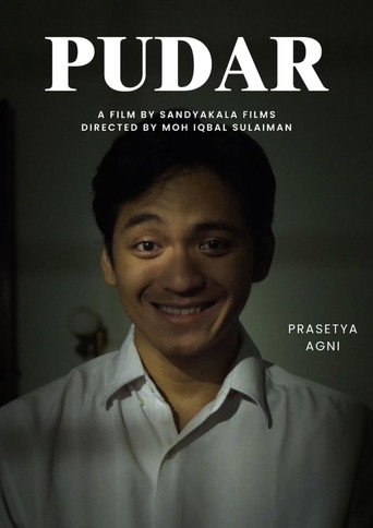 Póster de Pudar
