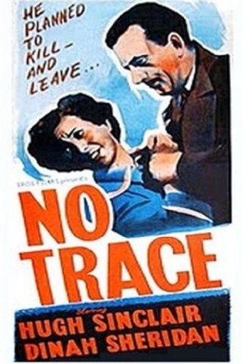 Póster de No Trace