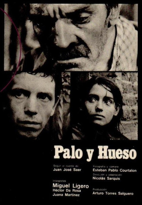Póster de Palo y hueso